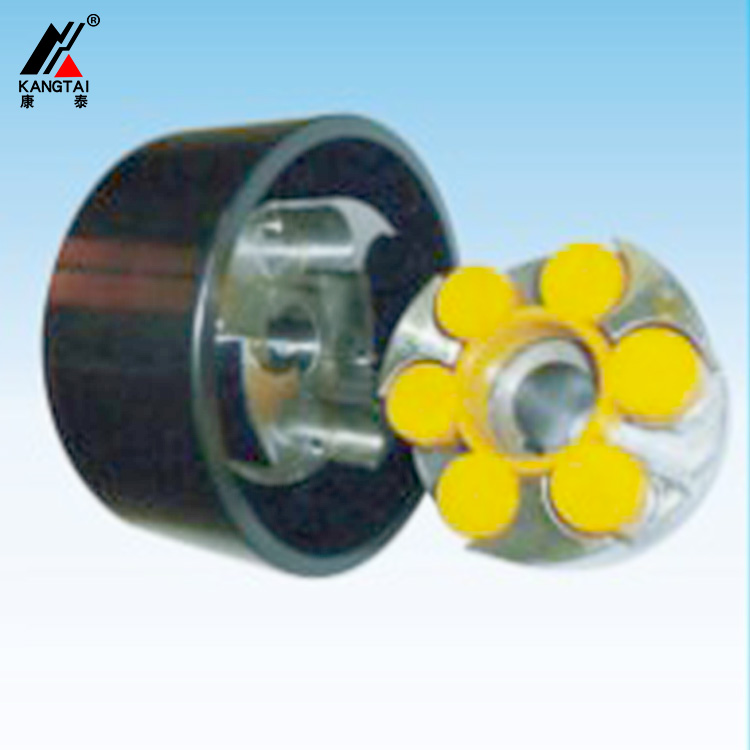 LMZ-I 型帶制動輪梅花型聯(lián)軸器